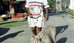 泰森今日爆料,今日爆料背后的惊人真相